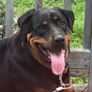 Meet your Posher, Carley